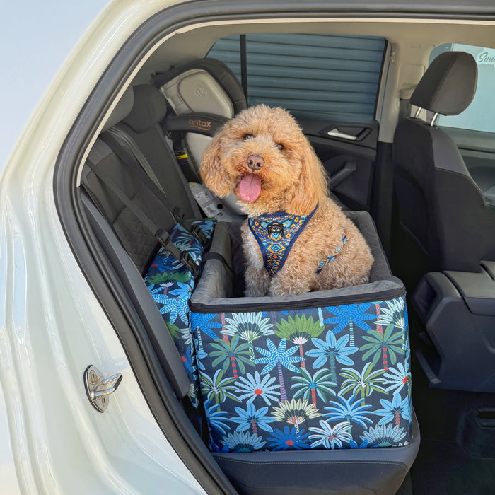 Best and high quality dog car seat for small dogs to see out of the window