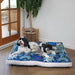  Large washable dog beds Australia