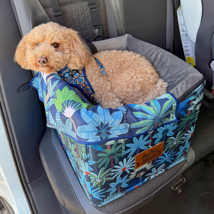 Cute cavoodle 7kg lying down in a single car booster seat from Indie Boho