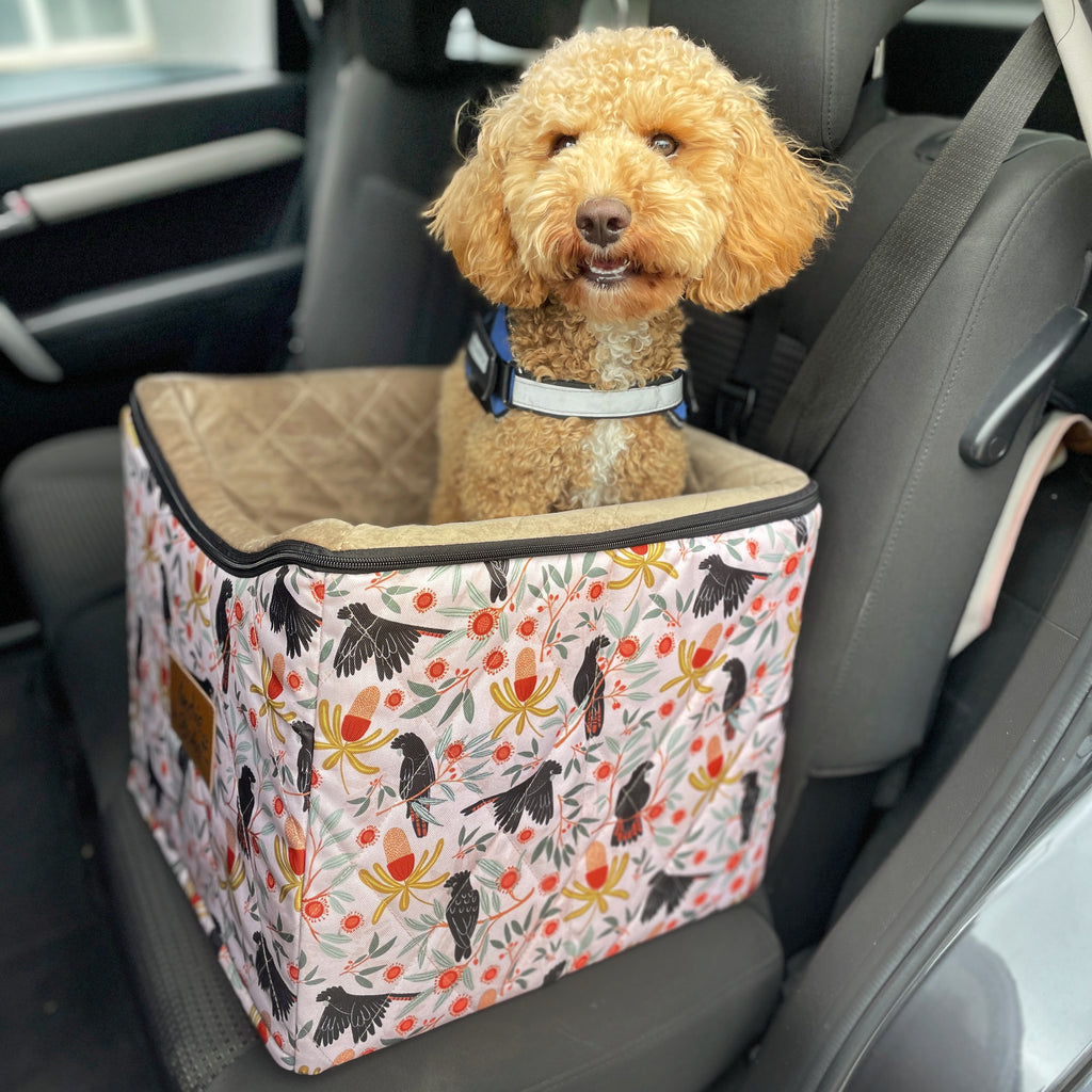 Sunset Cockatoo dog car seat carrier