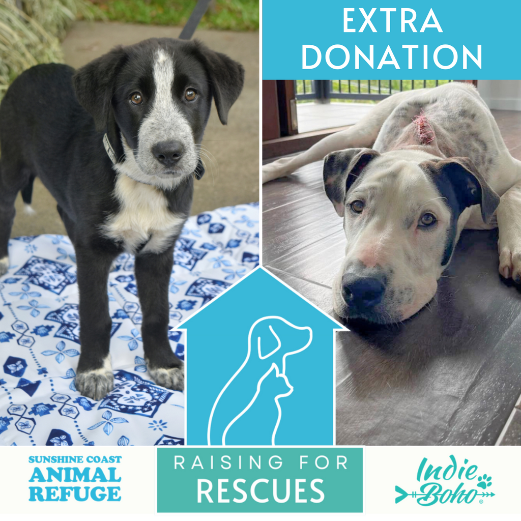 Dog charity donation Sunshine Coast Animal Refuge