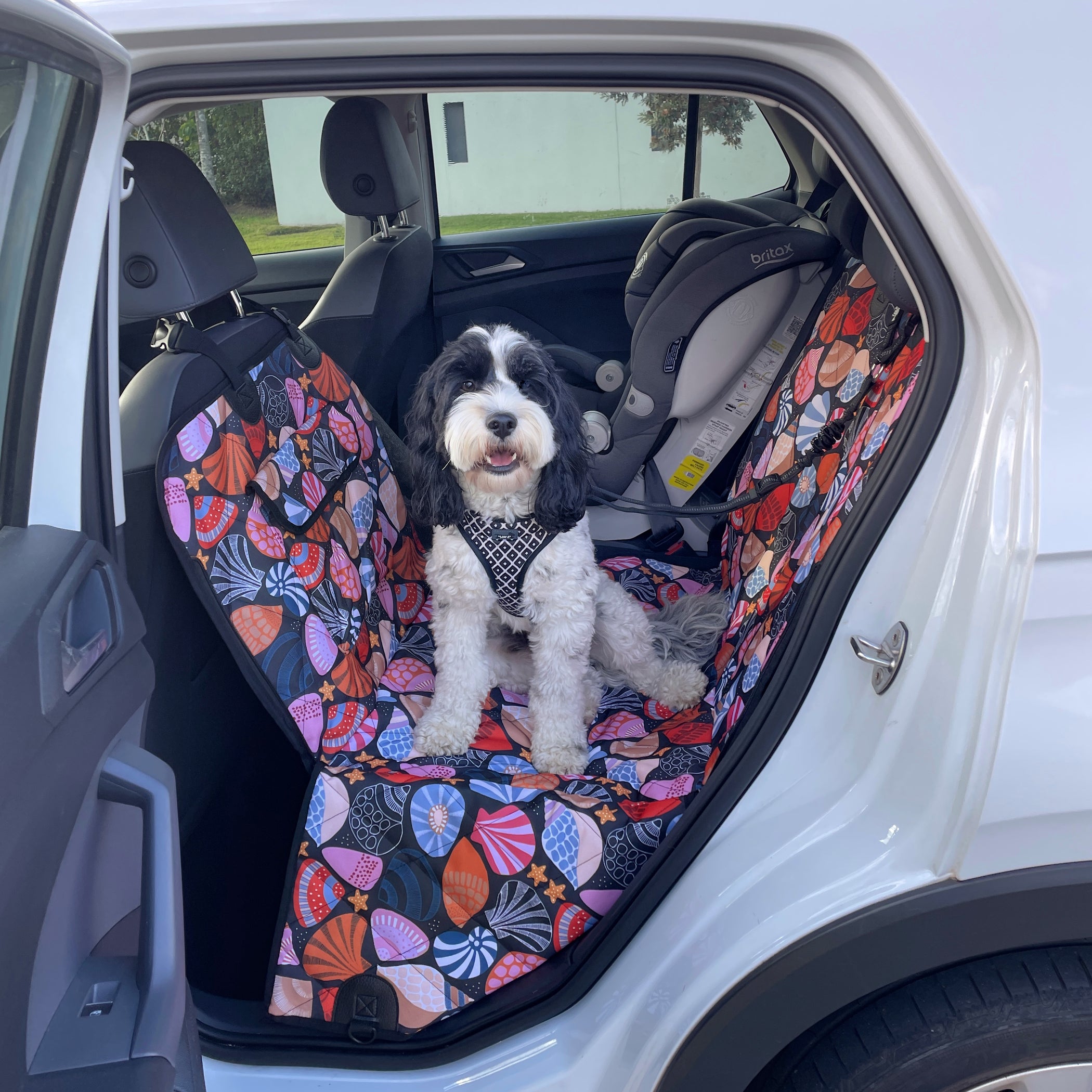 Dog Hammock Back Seat Cover | Daydream Shells | Car 2-in-1 System ...