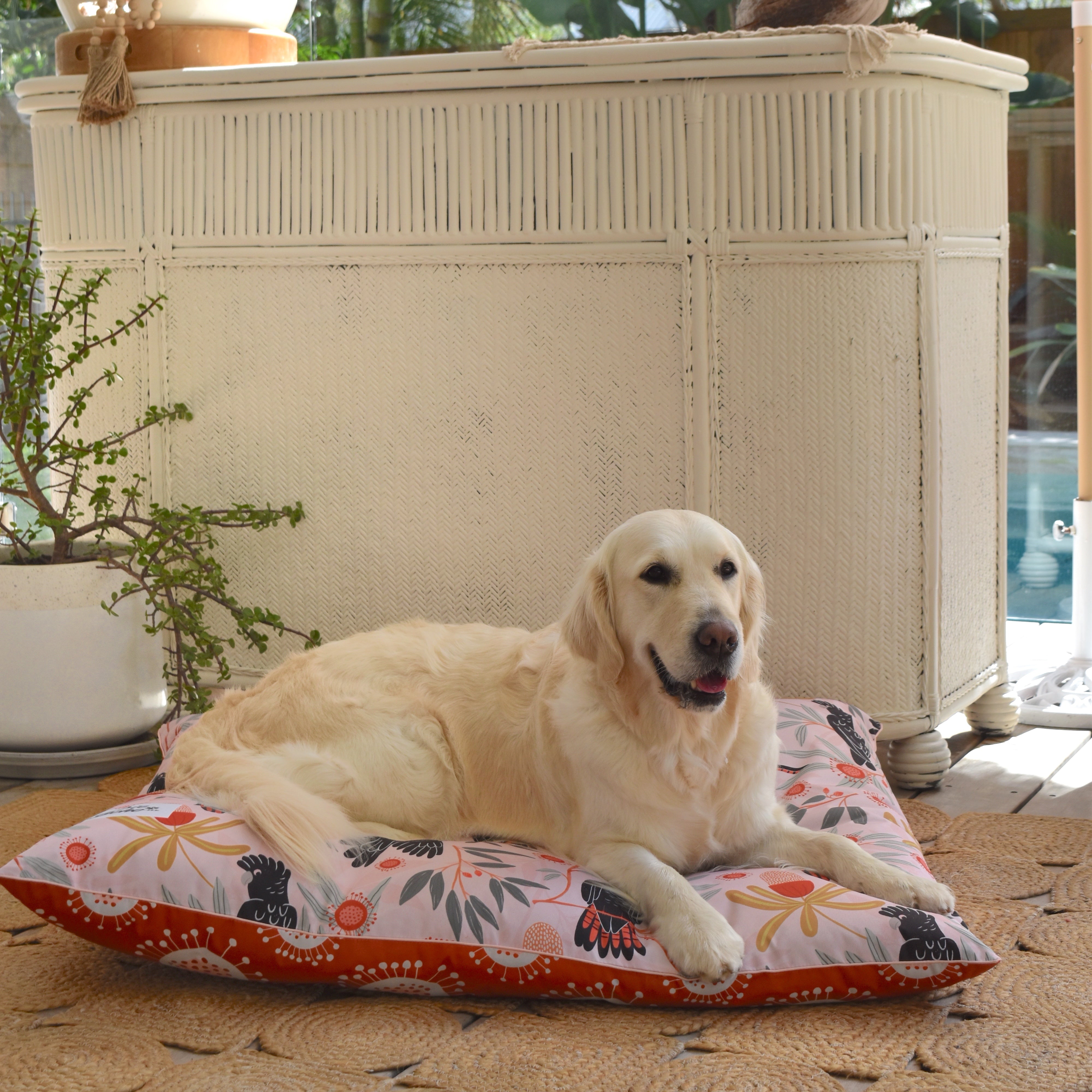 Sunset Cockatoo OUTDOOR EXTRA LARGE Pet Bed Indie Boho sunset-cockatoo-outdoor-extra-large-pet-bed-indie-boho