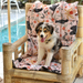 Puppy Training Mat Australia