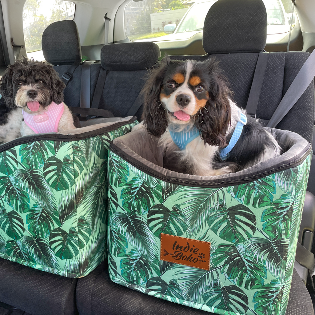 Travel Seat for Dogs Australia