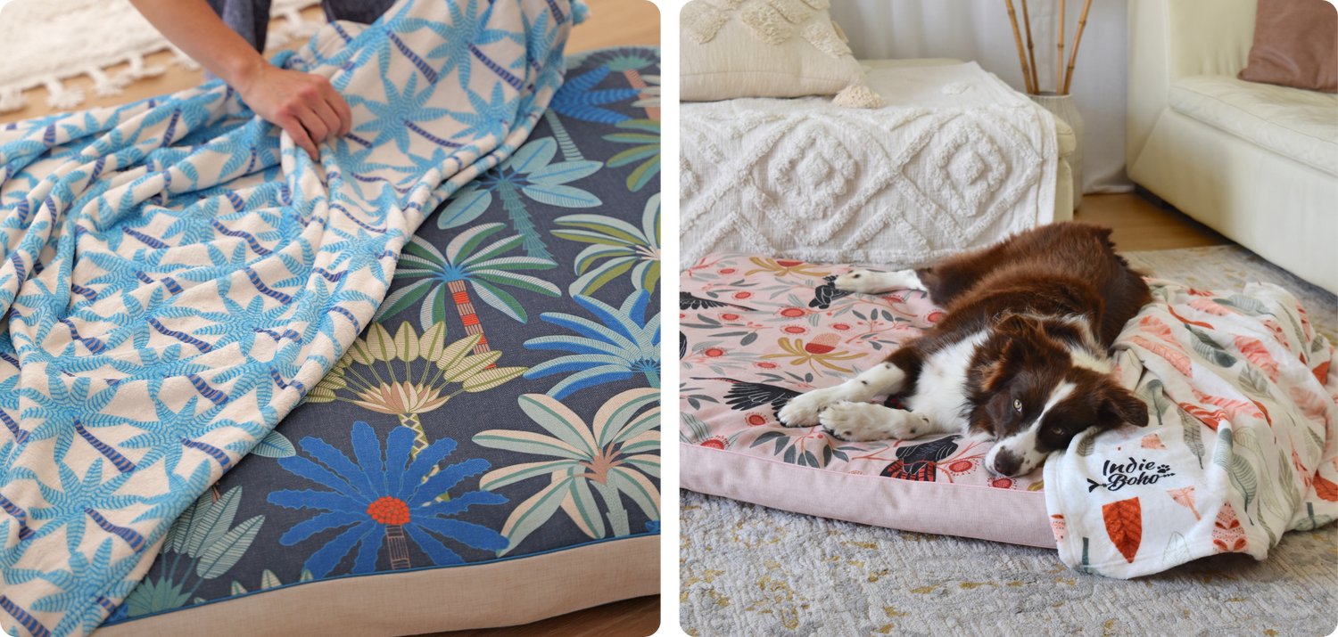 Plush Designer Blankets