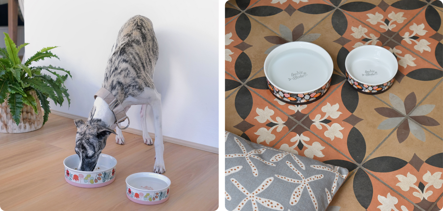 Ceramic Food & Water Bowls