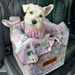 Dog in May Gibbs Gumnut Babies single car booster seat