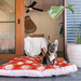Sunset Cockatoo Outdoor Bed for Dogs Australia