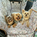 May Gibbs Gumnut babies car seat cover Australia for dogs