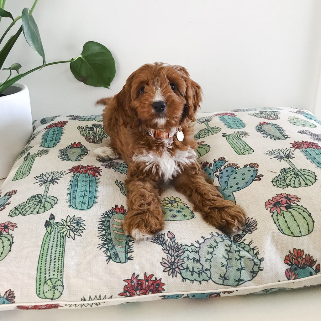 Desert Cacti – LARGE Dog Bed