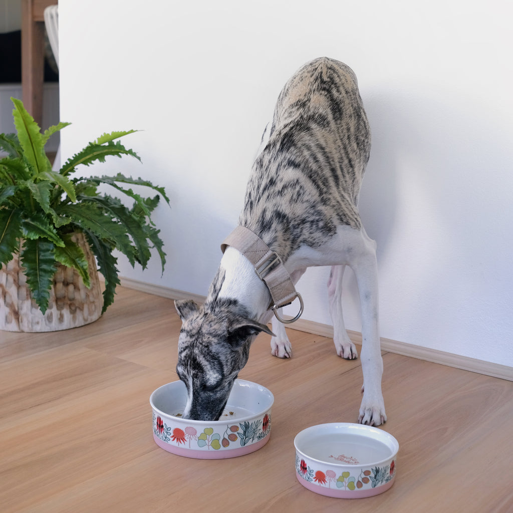 Native Flora - Ceramic Dog Bowls