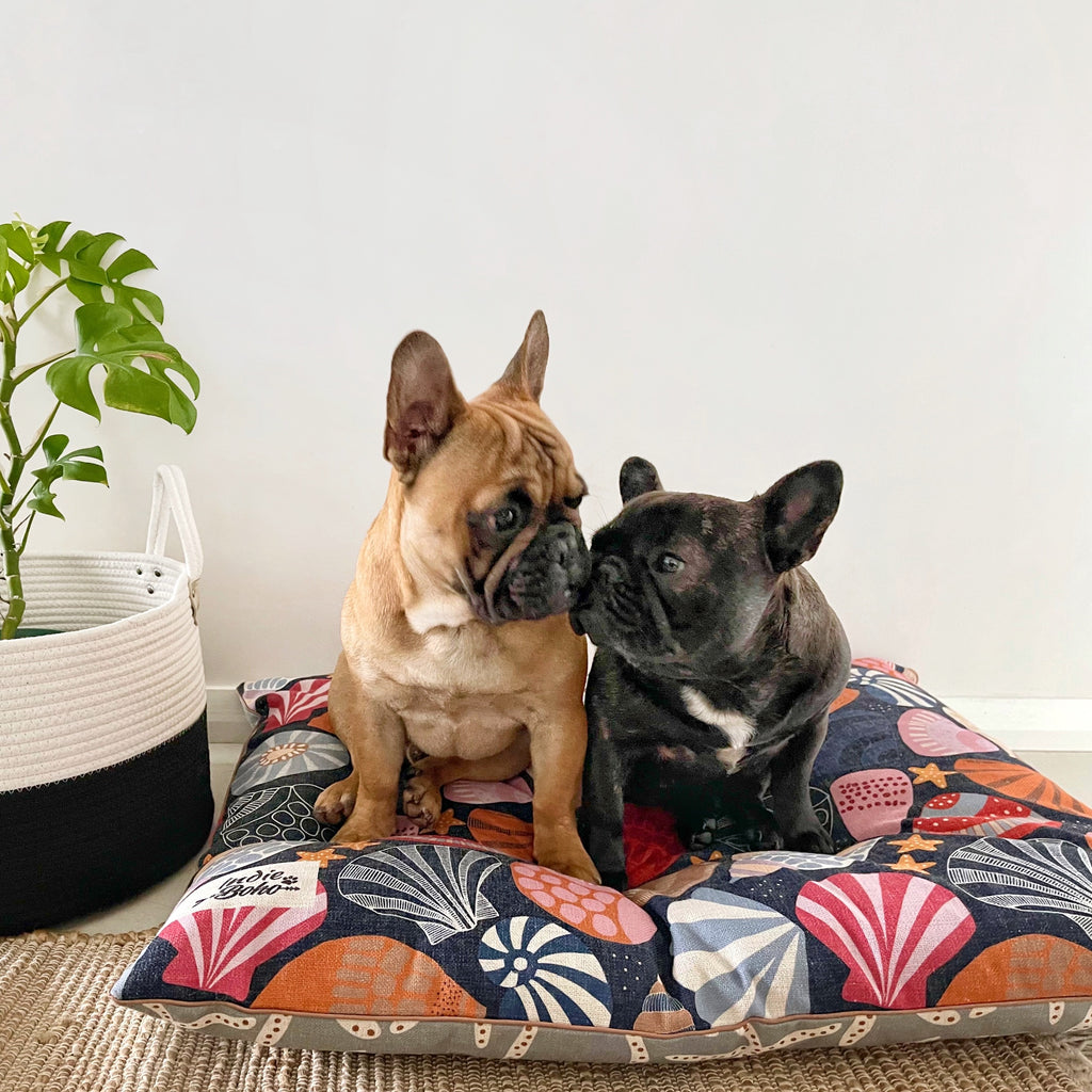 Indie ECO Pet Bed - Daydream Shells