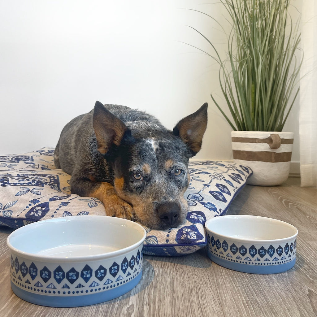 Noosa Nights Ceramic Dog Bowl Set 