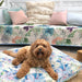Floral pet couch cover