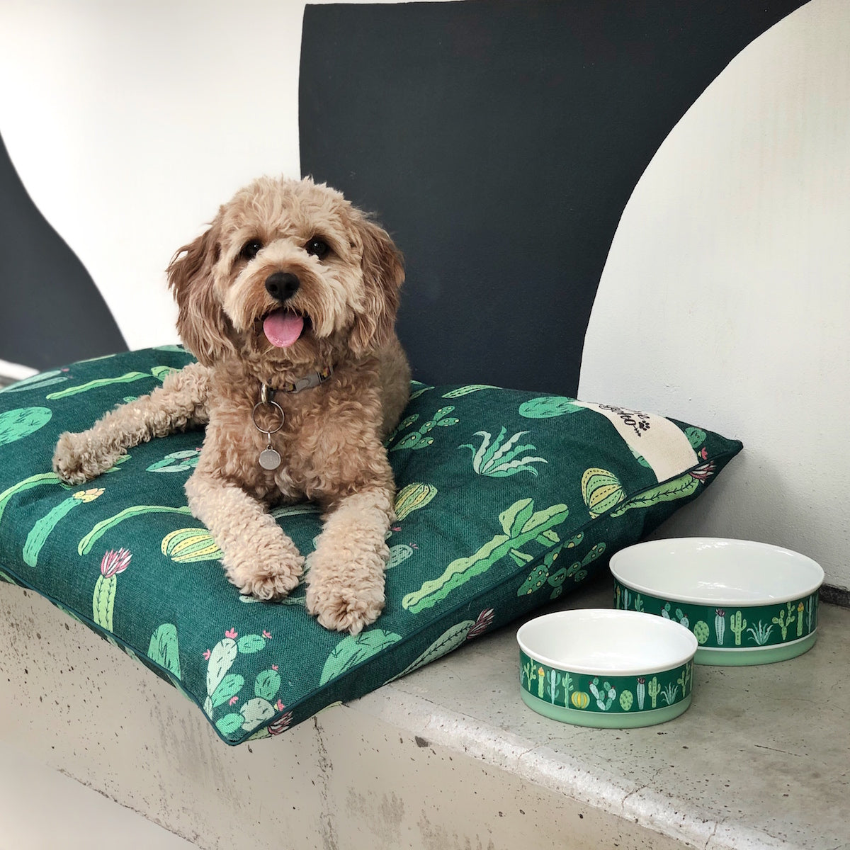 Cactus shop dog bed