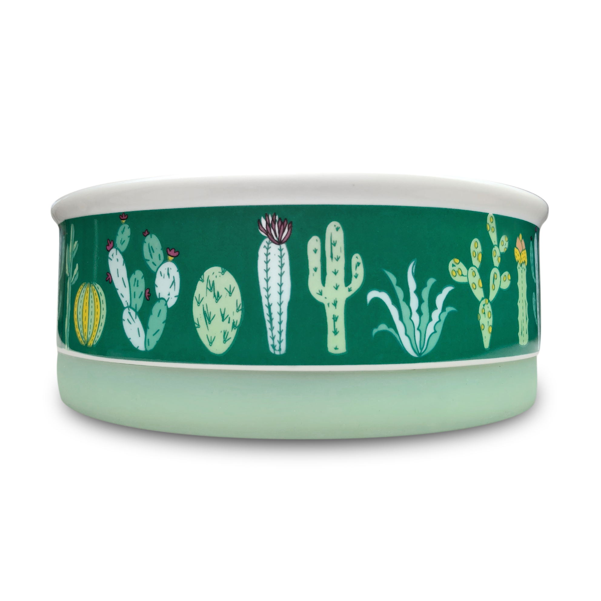 Decorative dog best sale bowls