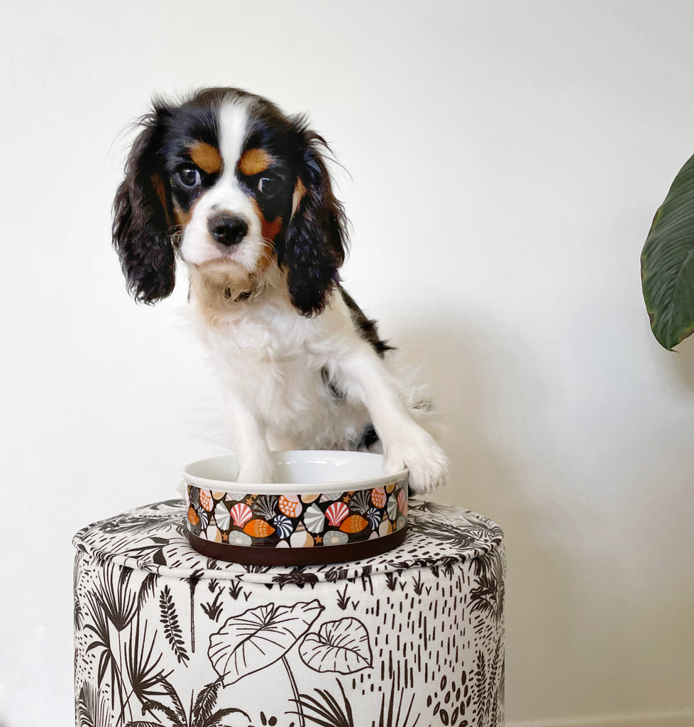 High Quality Ceramic Dog Bowls