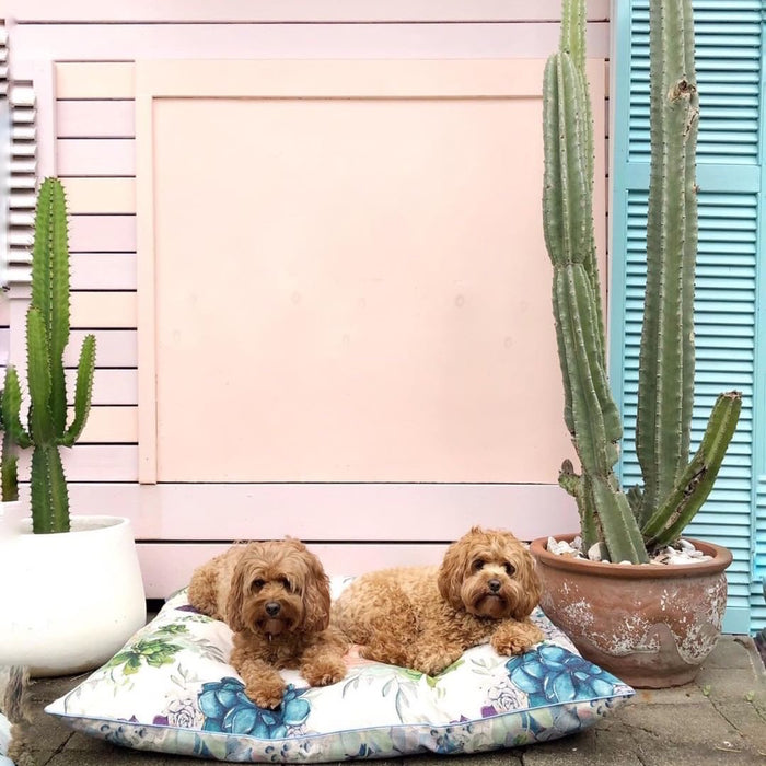 Dog bed big enough for two dogs