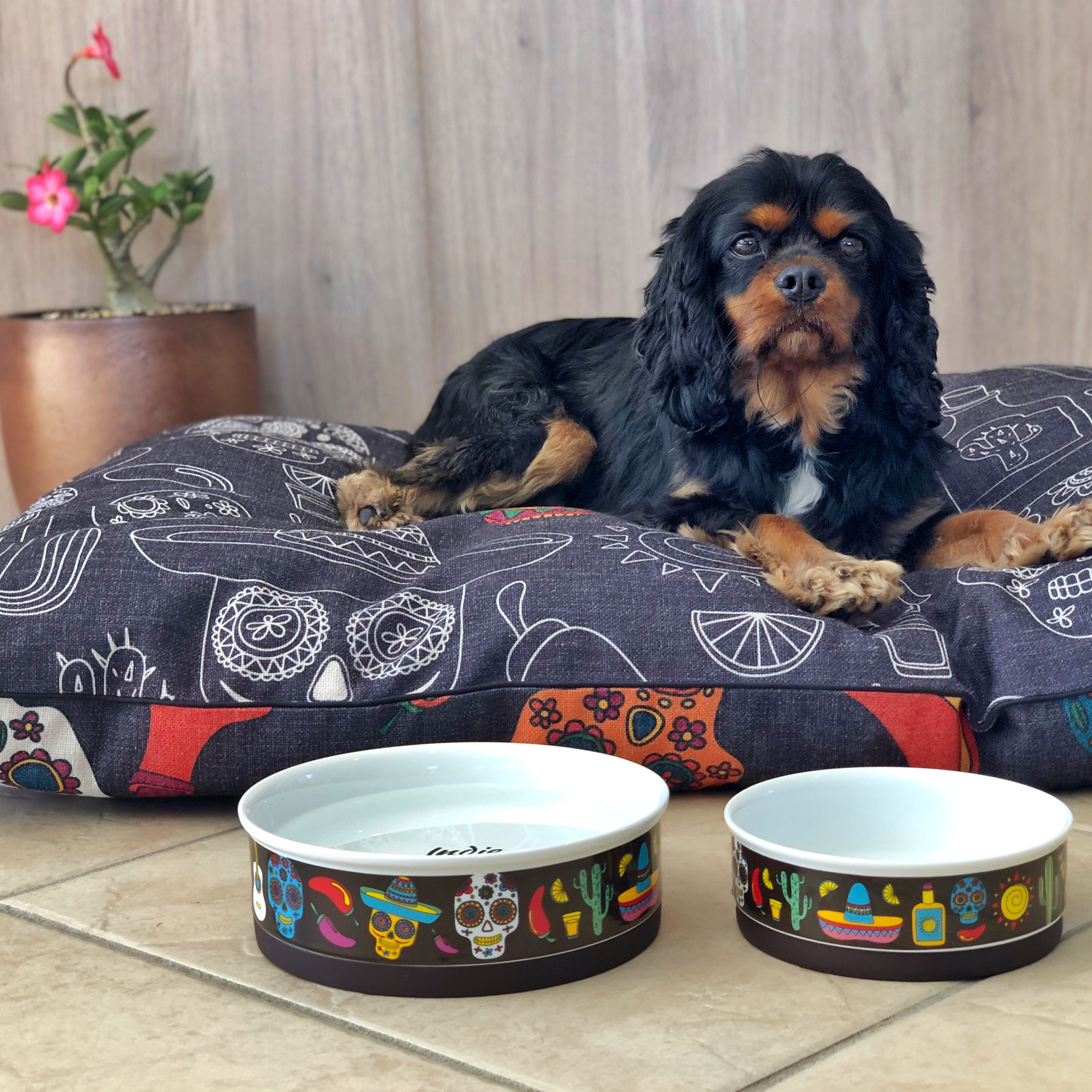 Mexican Skull Designer Dog Bowls Indie Boho