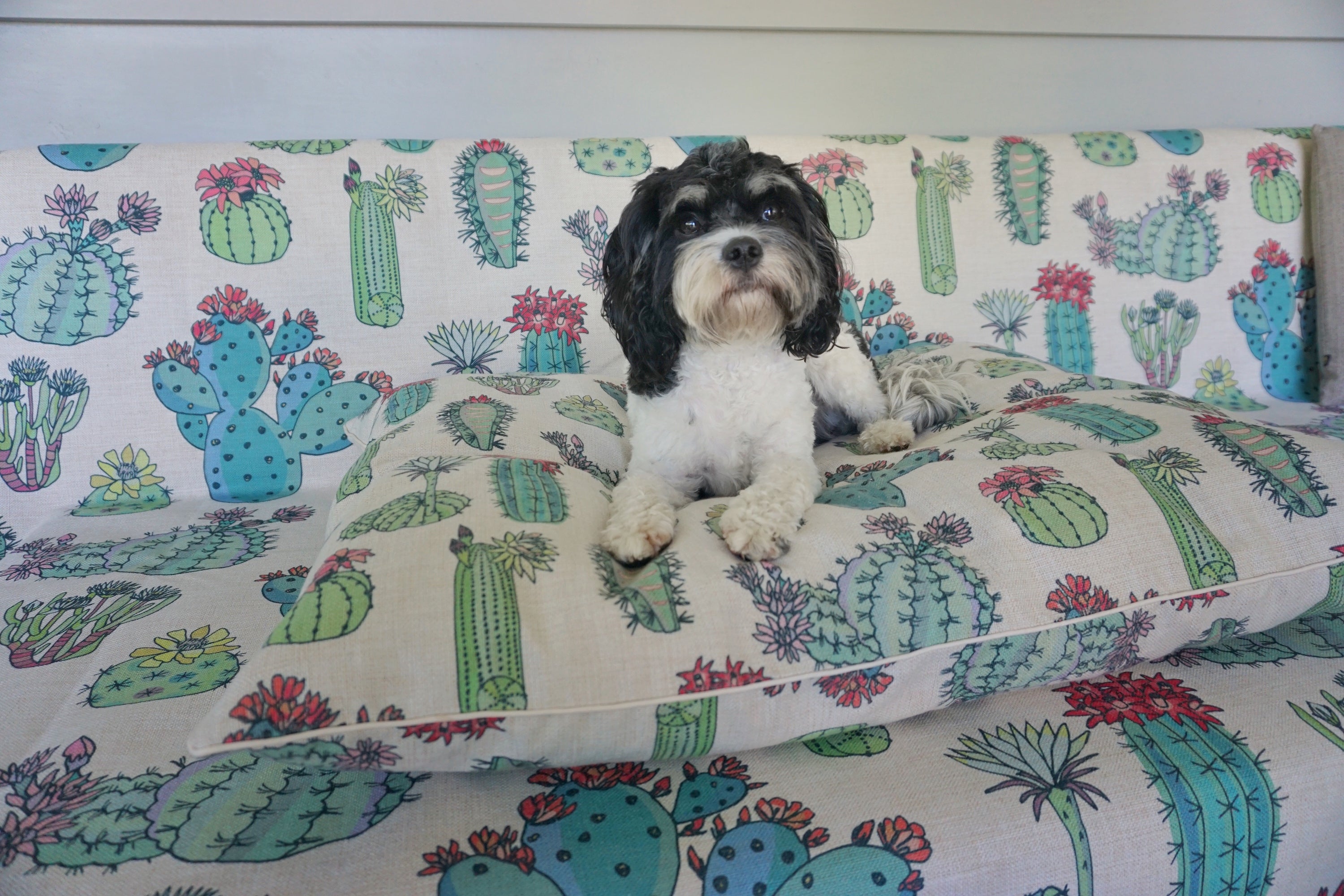 Cactus print online dog bed