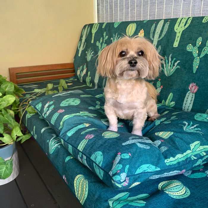 Cactus Garden - Couch Throw