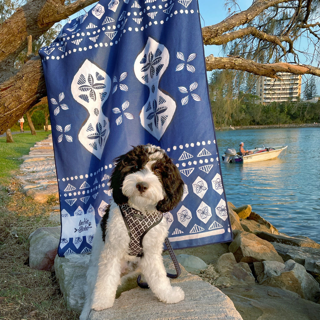 Cavoodle blue travel pet accessory towel