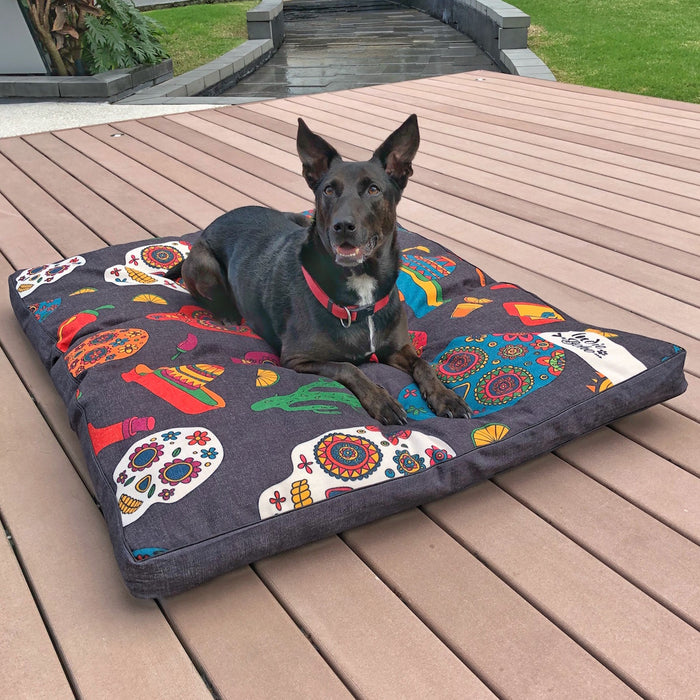 Unusual design dog bed