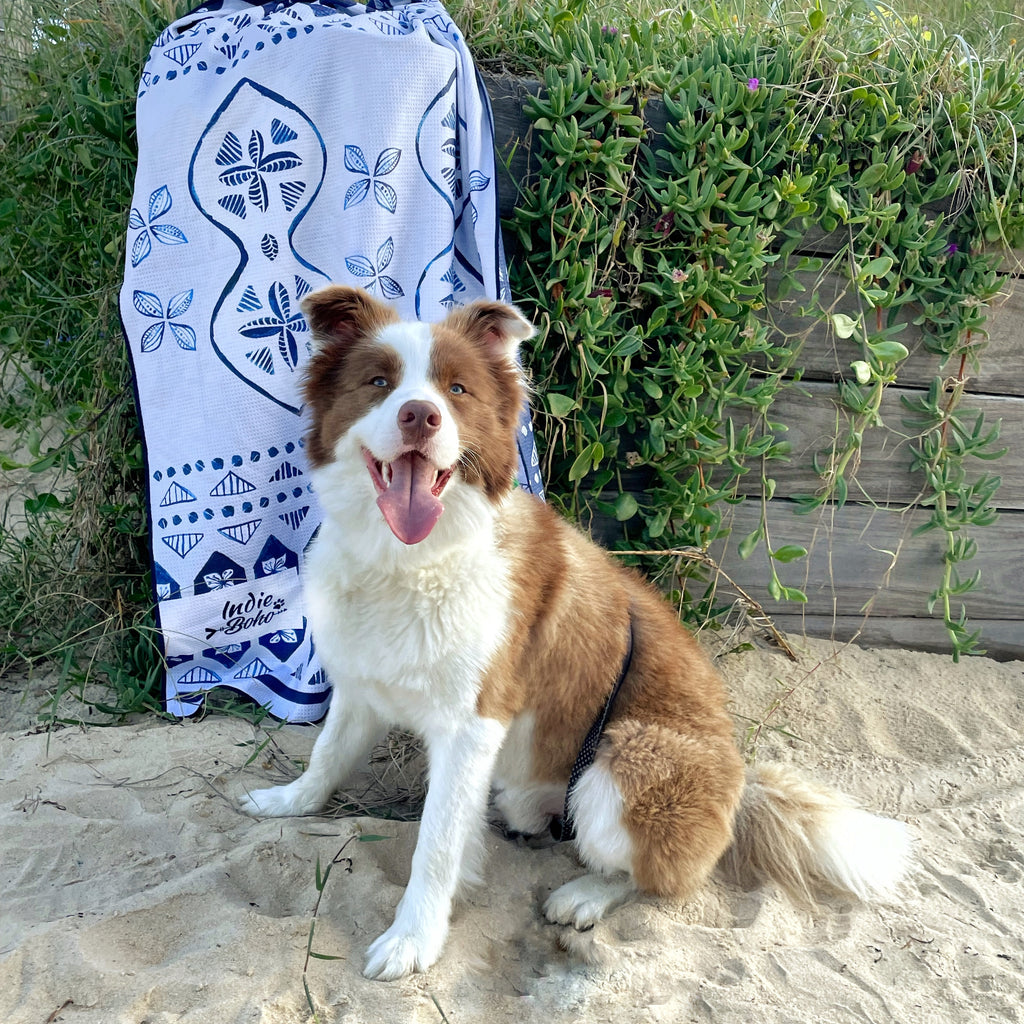 Designer reversible dog beach towel