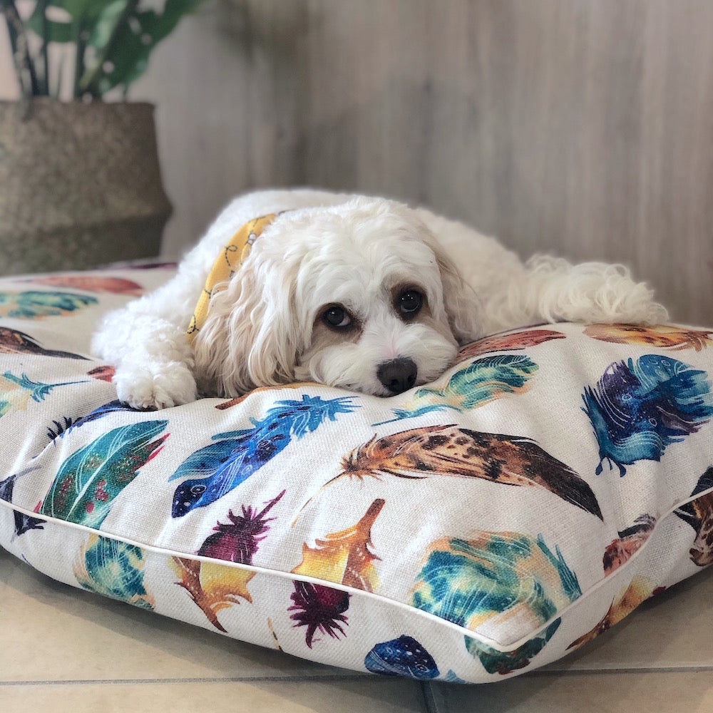 Dog Cushion Beds