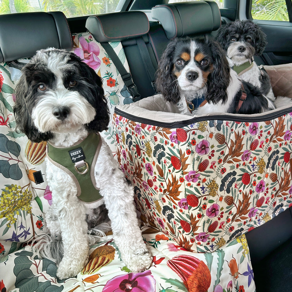 Travel Seat For Dogs Australia 