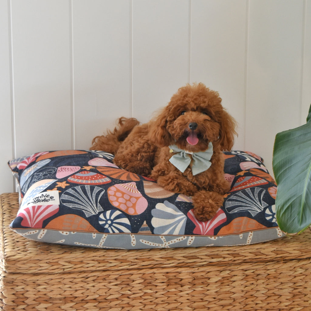 Toy poodle on Australian design dog bed