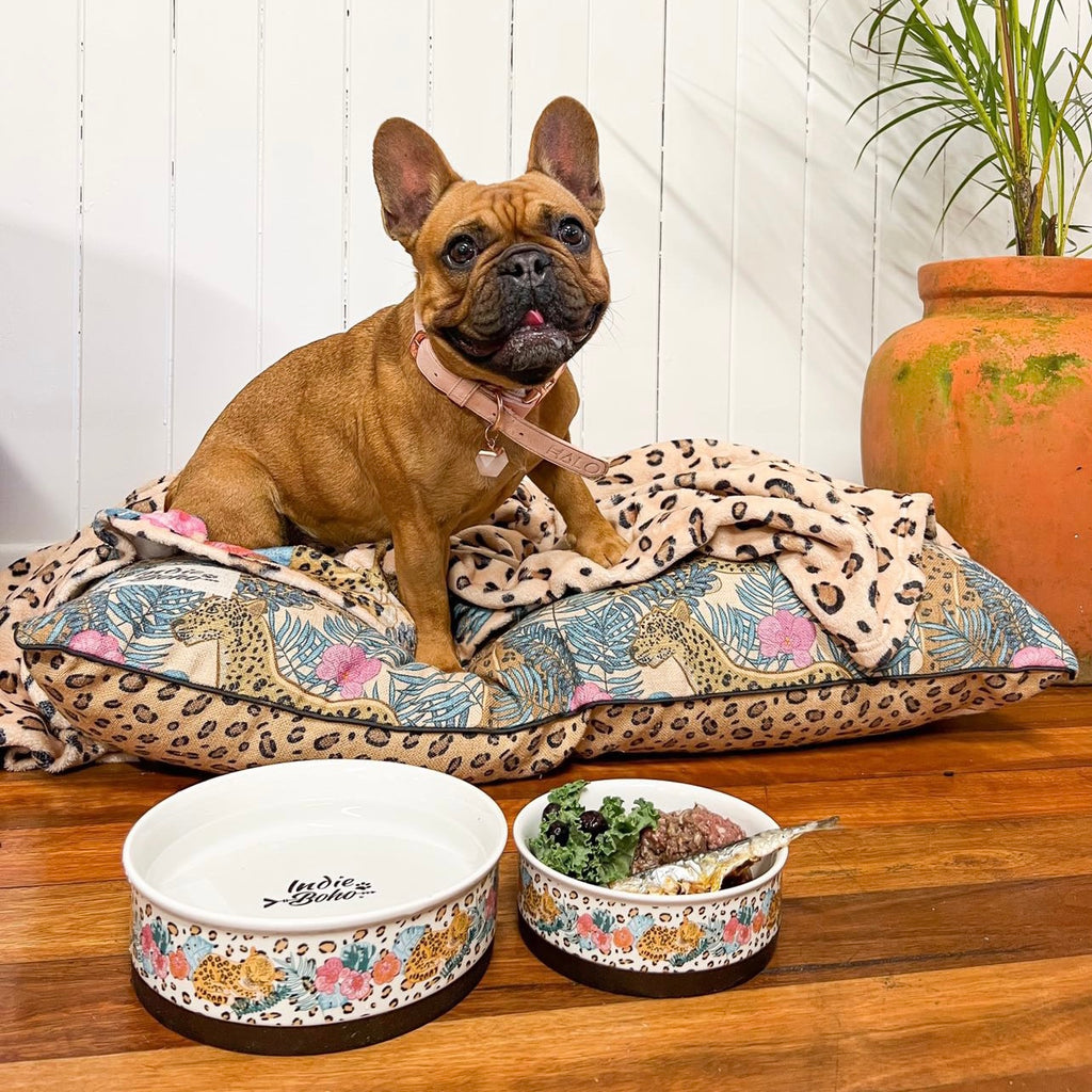 High Quality Dog Bowls for Dogs and Catss