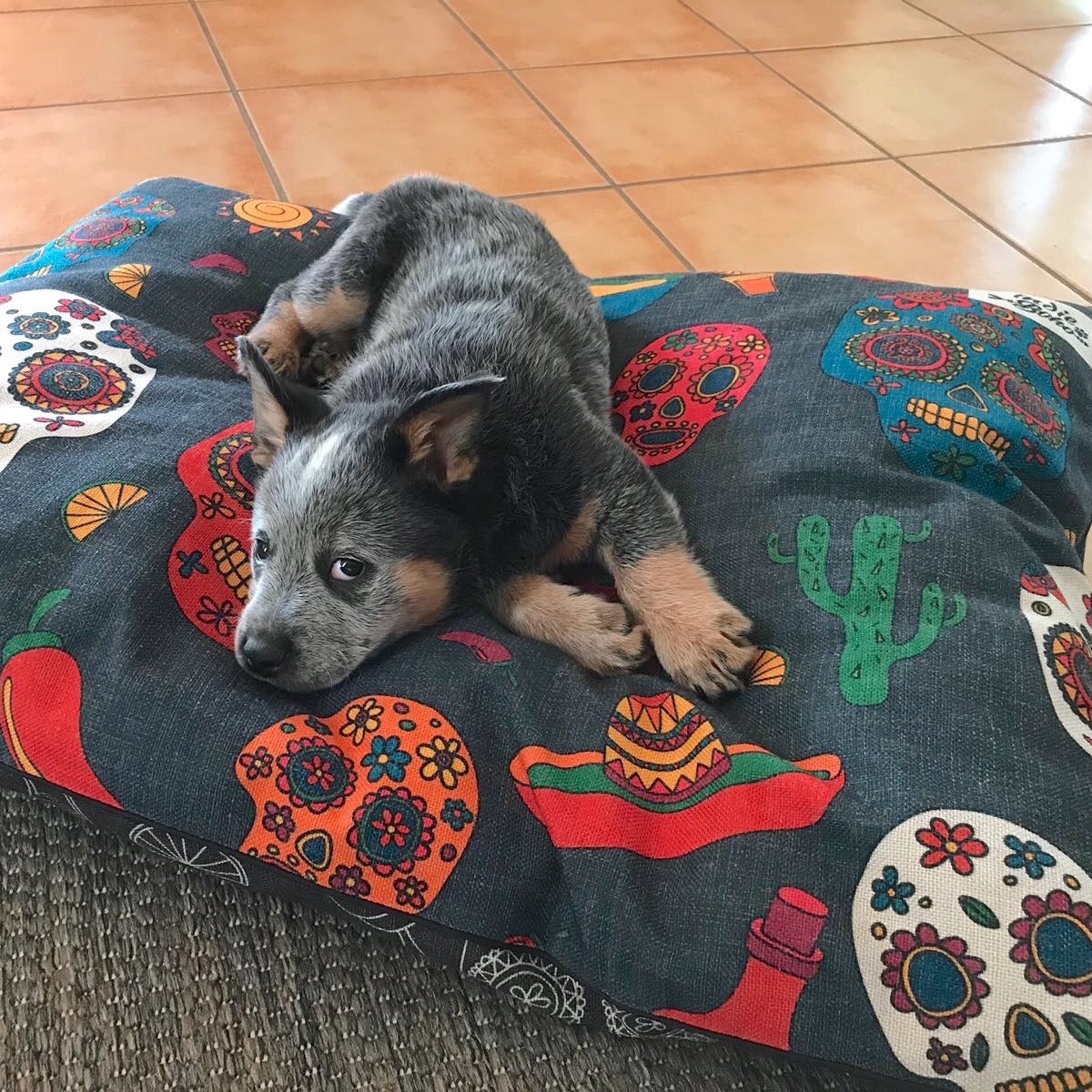 Mexican blanket dog bed sale