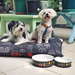 Dog Bowls - Mexican Design