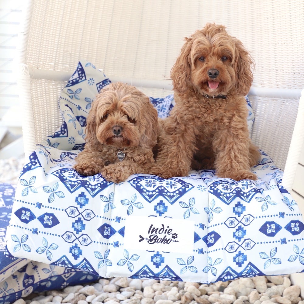 Cavoodles on cute cafe mat