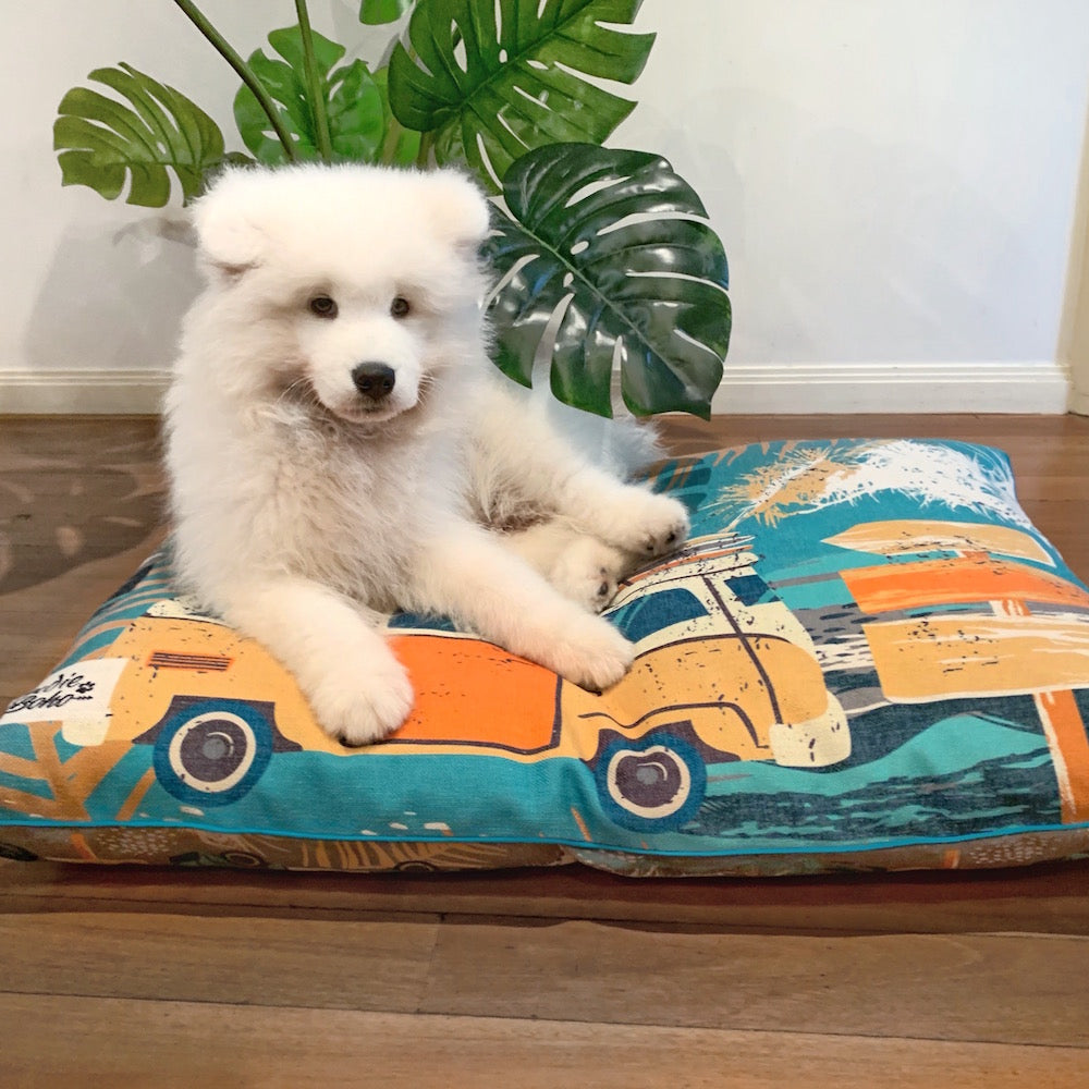 Samoyed with washable pet bed Australia