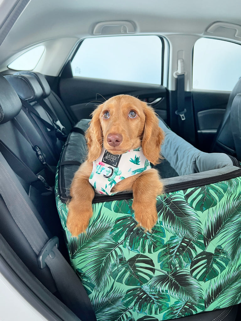 Car Pet Booster Seats DOUBLE Size - Tropical Leaves