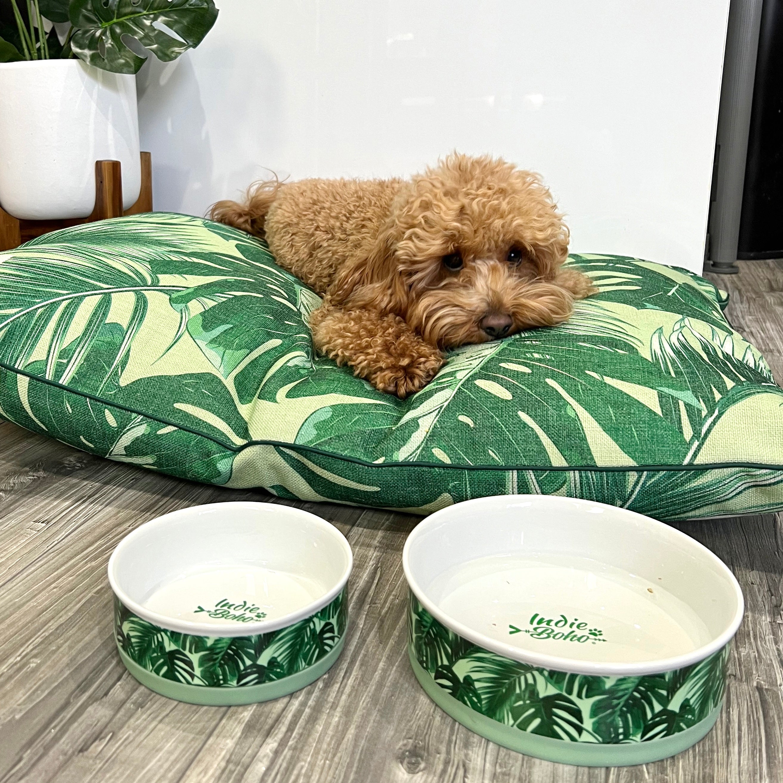 Boho online dog bowls
