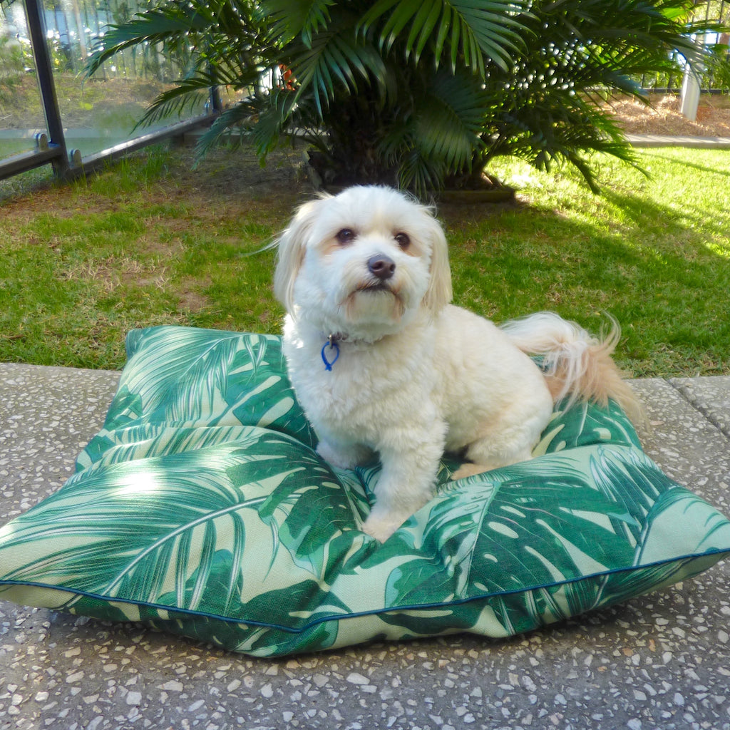 Extra large tropical print washable dog bed