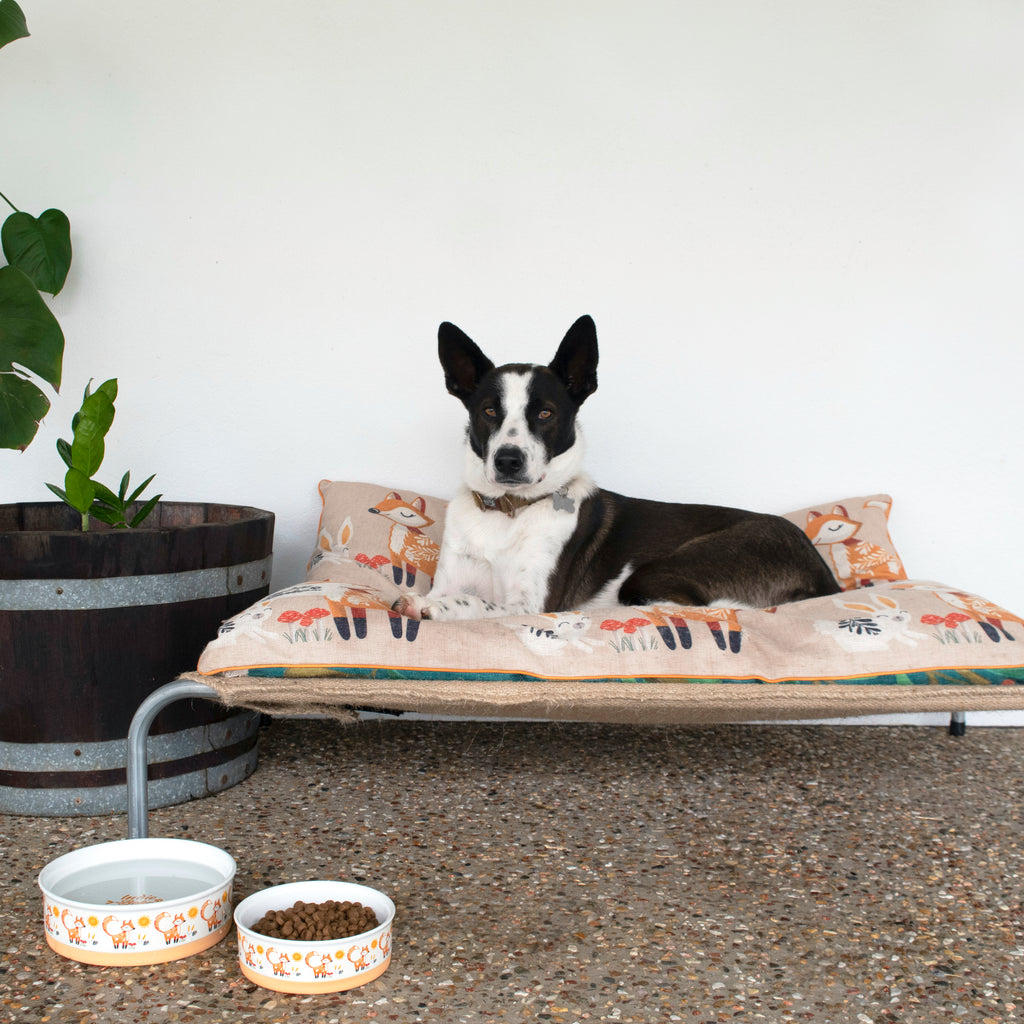 Dog Bowl Set - Ceramic, Non-Slip