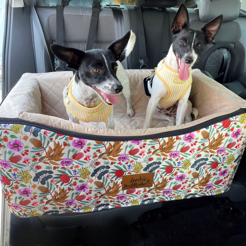 Cute fox terriers in double size large dog car booster seat most safe